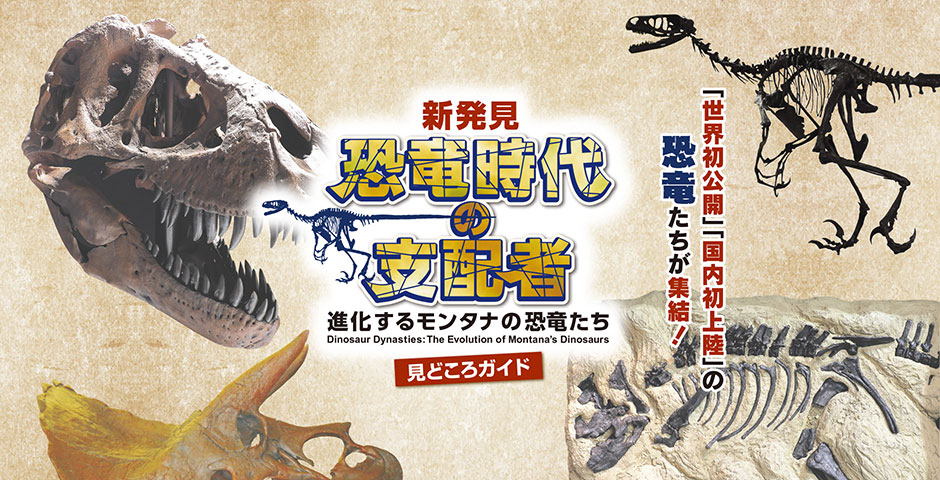 新発見 恐竜時代の支配者 進化するモンタナの恐竜たち 見どころガイド くまにち すぱいす