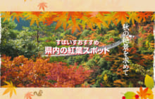 画像：【390号】すぱいすフォーカス – 秋の絶景を求めて すぱいすおすすめ 県内の紅葉スポット