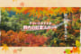 【390号】すぱいすフォーカス – 秋の絶景を求めて すぱいすおすすめ 県内の紅葉スポット