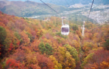 画像：東京＆長野旅行☆～紅葉狩り編～