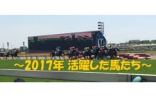 画像：【うまにち】第13回〜2017年活躍したお馬さんたち編〜