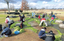 画像：冬の水草清掃活動 ～みんなで江津湖の外来水草を退治しよう！～