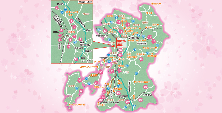 410号 すぱいすフォーカス 18 くまもと お花見スポットガイド くまにち すぱいす