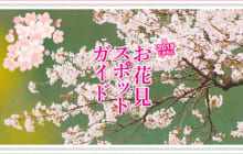 画像：【410号】すぱいすフォーカス – 2018 くまもと お花見スポットガイド