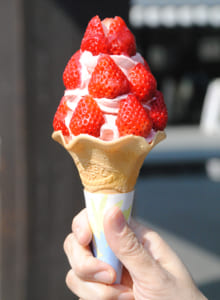 熊本県産オニ盛りいちごソフトクリーム