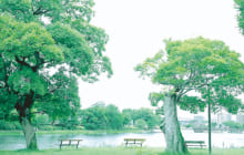 画像：江津湖Living