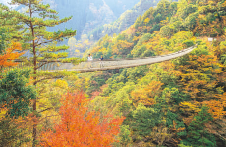 494号 すぱいすフォーカス 県内のおすすめ紅葉スポット くまにち すぱいす