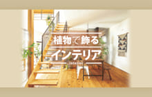 画像：【440号】植物で飾る インテリア
