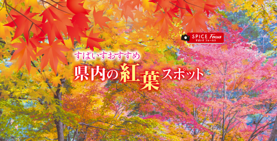 442号 すぱいすフォーカス すぱいすおすすめ 県内の紅葉スポット くまにち すぱいす