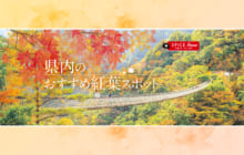 画像：【494号】すぱいすフォーカス – 県内のおすすめ紅葉スポット