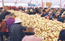 画像：サラたまちゃん祭り