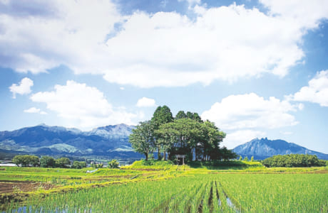 村の鎮守「中郷天満宮」の夏の風景。フェイスブックなどSNSで紹介