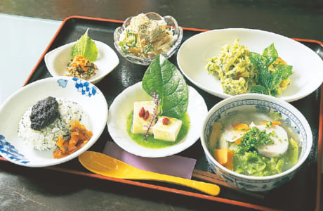 薬草カレー、薬草だご汁付きの「スペシャルランチ」1000円。予約に応じてオリジナルのメニューもオーダーできます