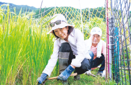 寺本さんは今年の秋に24回目の稲刈りを迎えます。収穫を目前に、田んぼの草取り、あぜの草刈りも大切な作業です