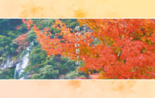 画像：【545号】すぱいすフォーカス – 秋限定の絶景 県内の紅葉スポット