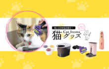画像：【506号】すぱいすフォーカス – 飼い主のお悩み解決!!　猫グッズ［Cat Items］