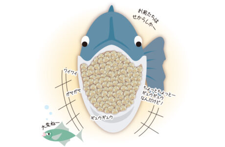 522号 のぞいてみよう 動物の子育て くまにち すぱいす