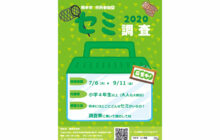 画像：熊本市セミ調査2020