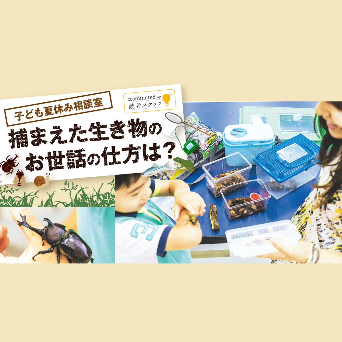537号 子ども夏休み相談室 捕まえた生き物のお世話の仕方は くまにち すぱいす