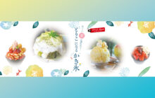 画像：【537号】すぱいすフォーカス – おいしい蜜に誘われて… とりこになる”かき氷”