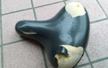 画像：わが家の鳥獣被害