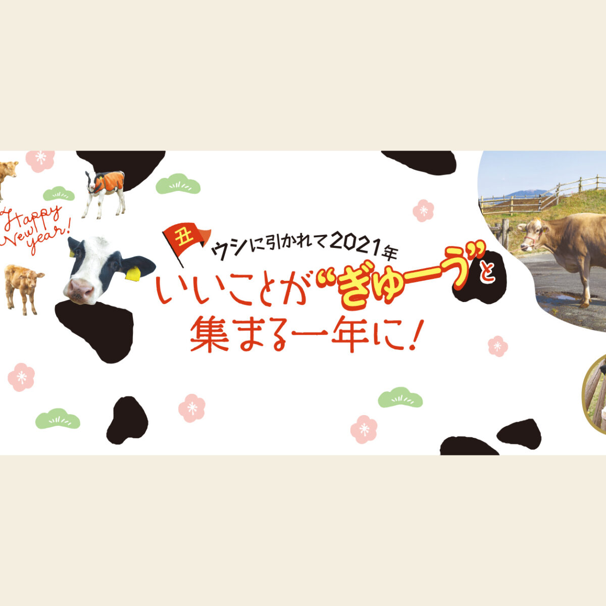 556号】すぱいすフォーカス – ウシに引かれて2021年 いいことが”ぎゅー