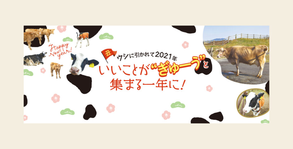 556号】すぱいすフォーカス – ウシに引かれて2021年 いいことが”ぎゅー