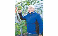 画像：【564号】すてきびと – 熱帯果樹栽培管理者 諫山 敬さん