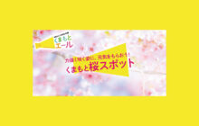 画像：【春の風物詩】くまもと桜スポット