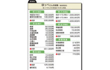 画像：夫婦共に転職し、収入が減少 今の収支を見直したい【家計簿チェック】