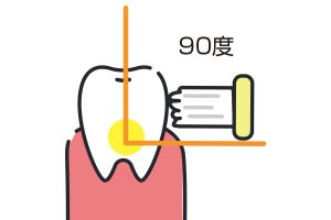歯ブラシは歯の表面に常に90度に当てます
