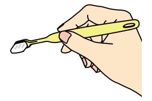 歯ブラシは鉛筆と同じ握り方で軽く持ちます