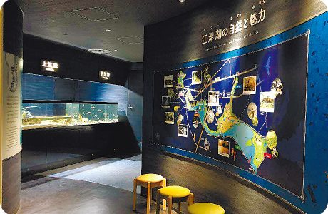 江津湖の生き物を学べる「ミニ水族館」