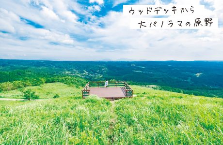 ウッドデッキから大パノラマの原野