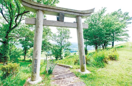 「小萩山稲荷神社」からの鳥居越しの景色もフォトジェニック！