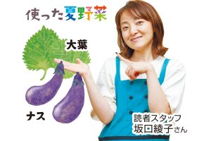 使った夏野菜 ナス 読者スタッフ 坂口綾子さん