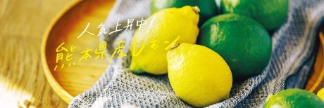 人気上昇中！熊本県産レモン