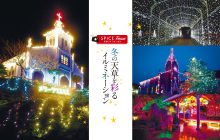 画像：冬の天草を彩るイルミネーション
