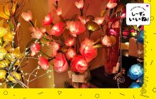 画像：【熊本市中央区桜町】光る花を発見!?幻想的なフラワーランプの専門店『Luce』ですてきなインテリア兼照明を見つけよう【し～ずのいいね！】