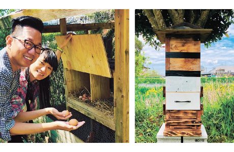 庭にはニワトリ小屋があり、卵取りを体験できます。朝ごはんは新鮮卵で目玉焼き！