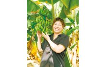 画像：八代発、無農薬バナナを全国へ 新品種の栽培にも夫婦で挑戦 ！【すてきびと】