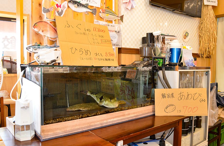 田代さんは昨年2月、県北では珍しいふぐ処理師免許を取得。店内にはフグやヒラメのいけすがあり、餃子店ながらフグ料理も味わえます（要予約）