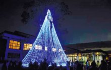 画像：南区役所 クリスマスイルミネーション