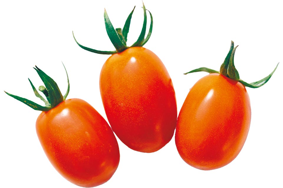 トマト農家 中村さん夫妻のミニトマト