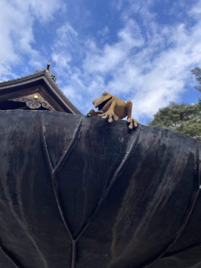 神社で見つけた金のカエル。フォルムが可愛らしくて、思わずいろんな方向から写真を撮りました。