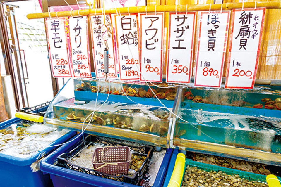 店内では豊富な種類の貝類も販売。クーラーボックスを忘れずに！