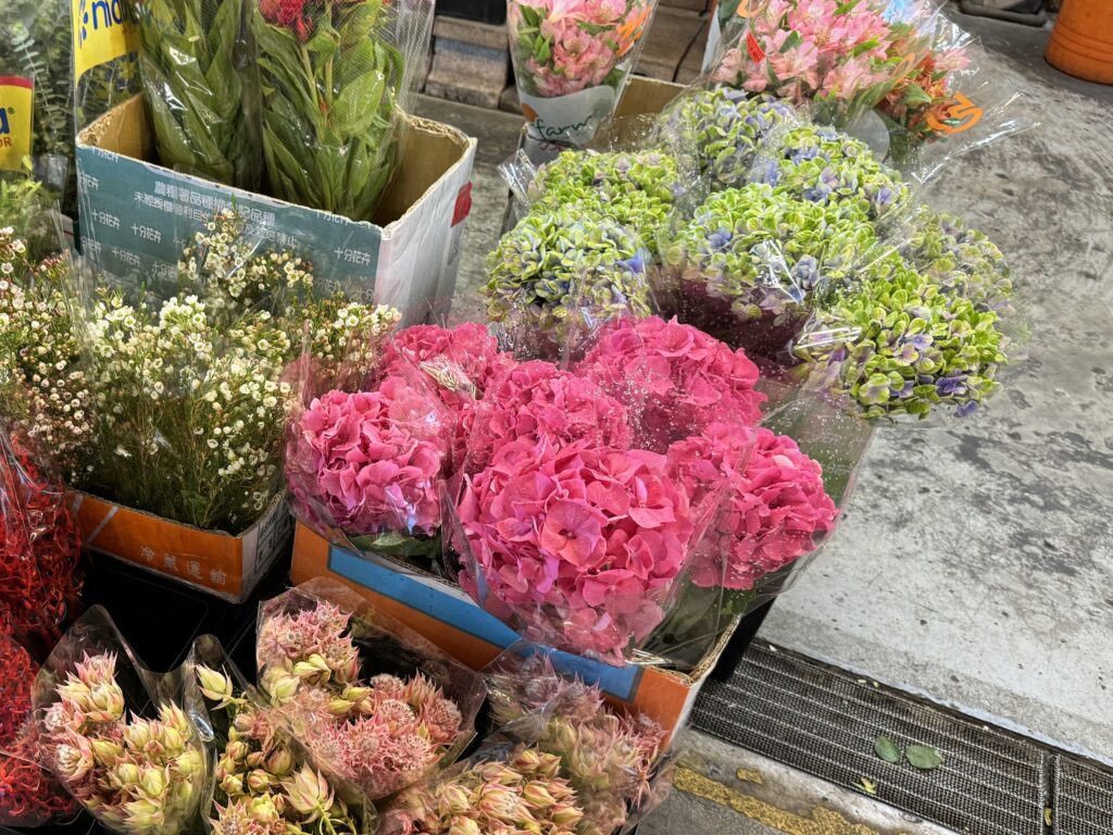 季節の花が目を楽しませてくれます＝６月29日（ＮＮＡ撮影）