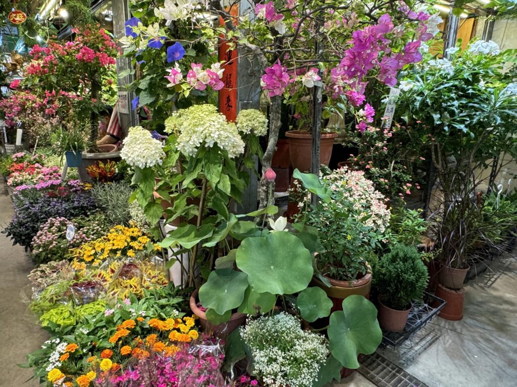 Ｂ棟で販売していた鉢植えの花＝６月29日（ＮＮＡ撮影）