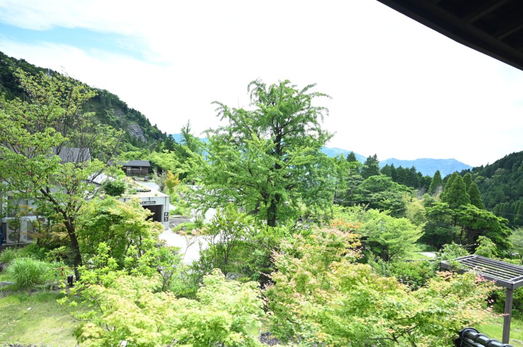 新緑に包まれた本館の客室からの景色