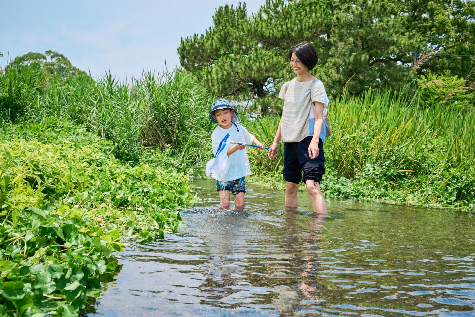 水辺の生き物観察も楽しみました